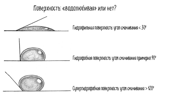 Иллюстрация к книге — Тайная жизнь домашних микробов: все о бактериях, грибках и вирусах [i_094.jpg]