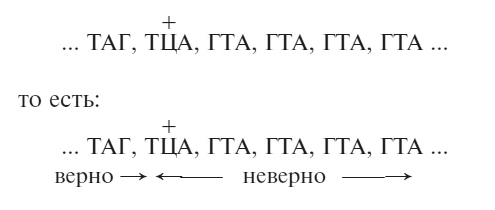 Иллюстрация к книге — Что за безумное стремленье! [i_004.jpg]