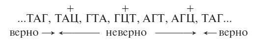 Иллюстрация к книге — Что за безумное стремленье! [i_007.jpg]