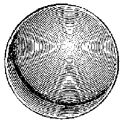 Иллюстрация к книге — Жизнь замечательных устройств [img_84.jpg]