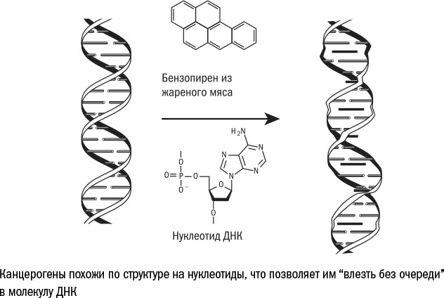 Иллюстрация к книге — Против часовой стрелки [i_029.jpg]