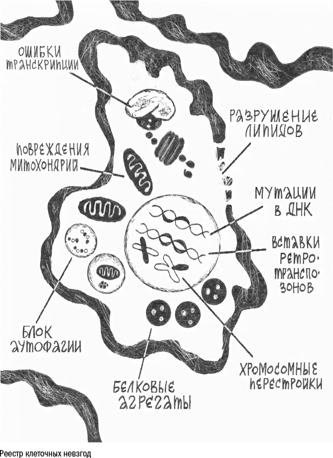 Иллюстрация к книге — Против часовой стрелки [i_035.jpg]