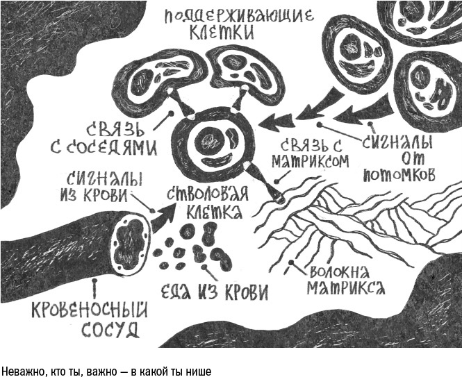 Иллюстрация к книге — Против часовой стрелки [i_044.jpg]
