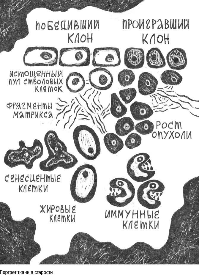 Иллюстрация к книге — Против часовой стрелки [i_047.jpg]