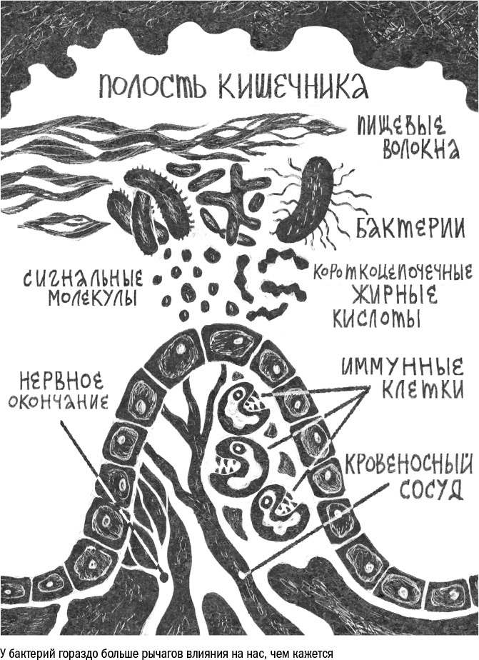 Иллюстрация к книге — Против часовой стрелки [i_051.jpg]
