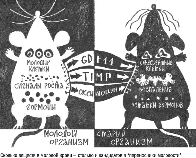 Иллюстрация к книге — Против часовой стрелки [i_065.jpg]