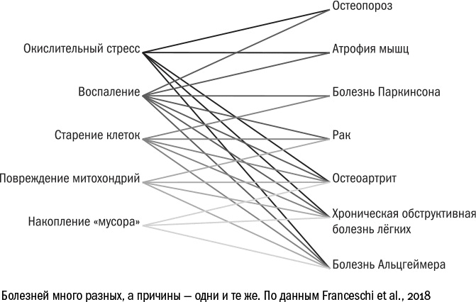 Иллюстрация к книге — Против часовой стрелки [i_072.jpg]