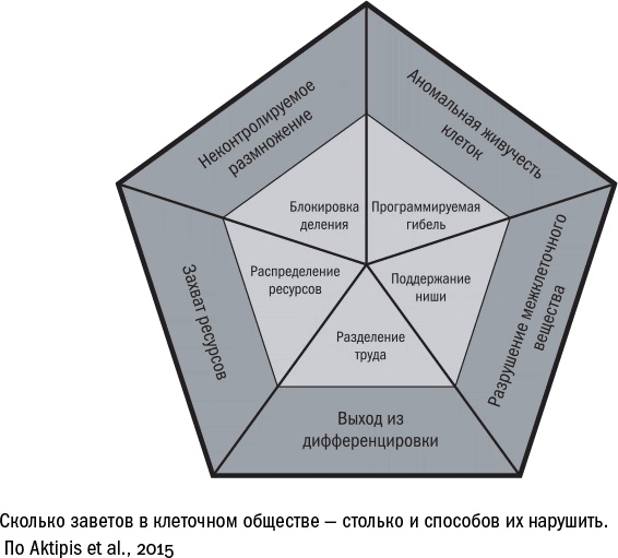 Иллюстрация к книге — Против часовой стрелки [i_089.jpg]