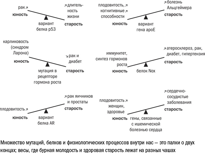 Иллюстрация к книге — Против часовой стрелки [i_104.jpg]