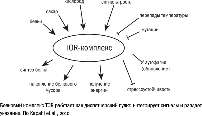 Иллюстрация к книге — Против часовой стрелки [i_106.jpg]