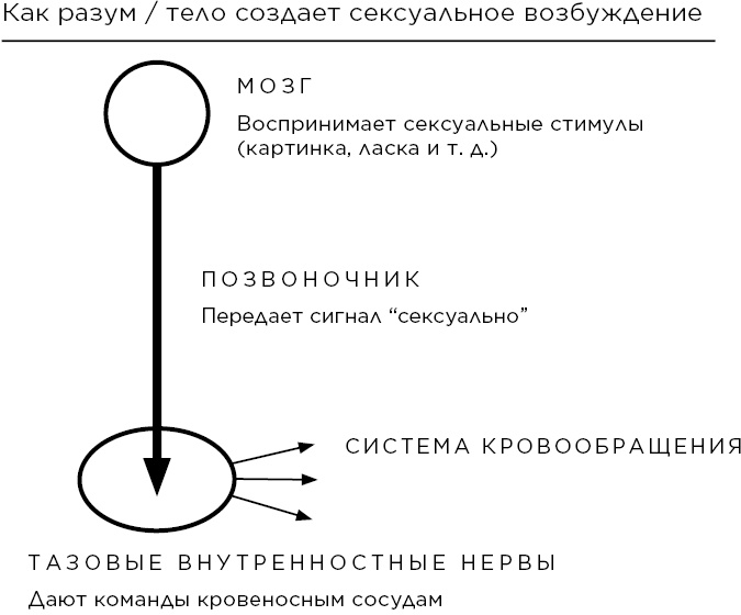Иллюстрация к книге — Сексуальный интеллект [i_003.jpg]