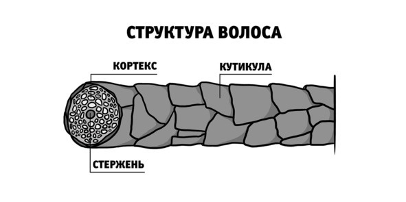 Иллюстрация к книге — Бьютилогия. Наука о красоте для тех, кто знал, но забыл [_14.jpg]