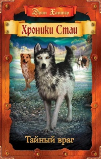 Книга Тайный враг Книга Тайный враг