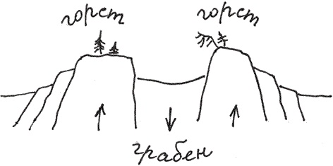 Иллюстрация к книге — Земля Обручева, или Невероятные приключения Димы Ручейкова [i_054.jpg]