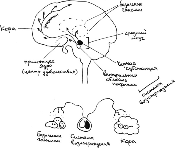 Иллюстрация к книге — Хлопок одной ладонью [i_125.jpg]