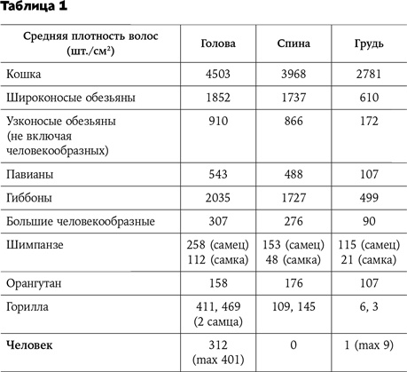 Иллюстрация к книге — Странная обезьяна. Куда делась шерсть и почему люди разного цвета [i_008.jpg]