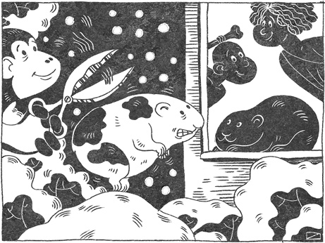Странная обезьяна. Куда делась шерсть и почему люди разного цвета