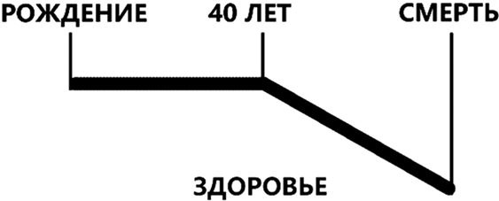 Иллюстрация к книге — Здоровье и красивая фигура после 50 [i_015.jpg]