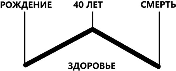 Иллюстрация к книге — Здоровье и красивая фигура после 50 [i_016.jpg]