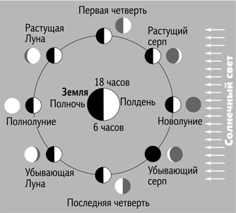 Иллюстрация к книге — Вселенная в вопросах и ответах [i_122.jpg]