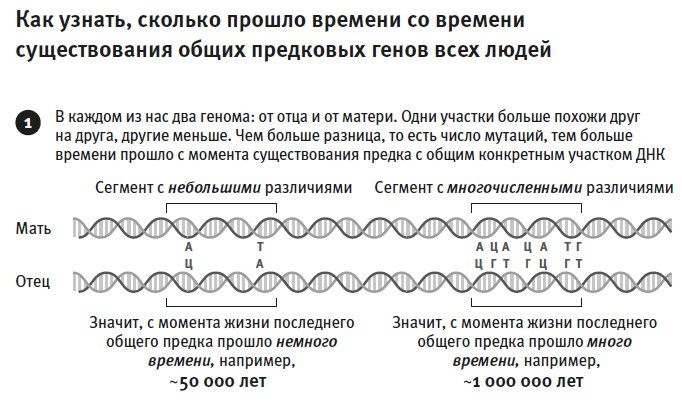 Иллюстрация к книге — Кто мы и как сюда попали. Древняя ДНК и новая наука о человеческом прошлом [i_007.jpg]