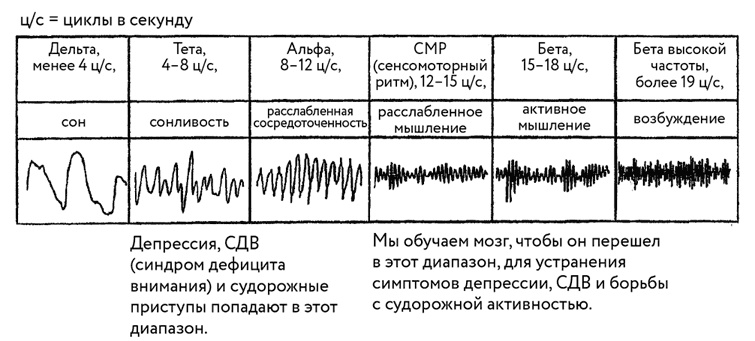 Иллюстрация к книге — Тело помнит все [i_039.jpg]