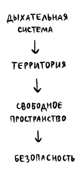 Иллюстрация к книге — Психосоматика на пальцах. Не верить, а проверить! [i_028.jpg]