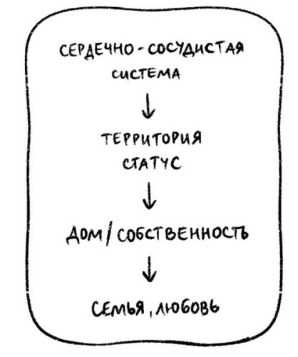 Иллюстрация к книге — Психосоматика на пальцах. Не верить, а проверить! [i_038.jpg]