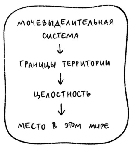 Иллюстрация к книге — Психосоматика на пальцах. Не верить, а проверить! [i_042.jpg]