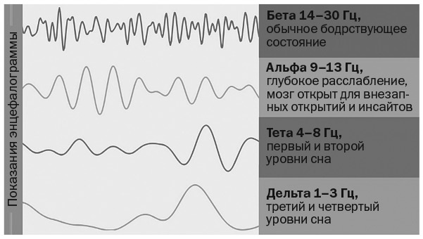 Иллюстрация к книге — Разум под контролем [i_004.jpg]