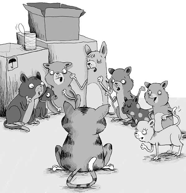 Кошачий секрет