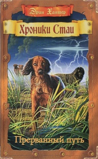 Книга Прерванный путь Книга Прерванный путь