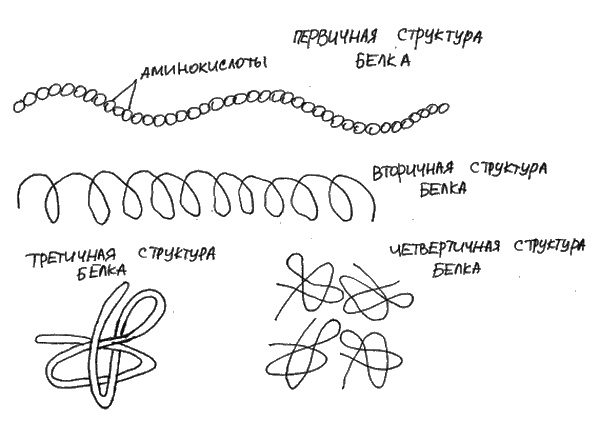 Иллюстрация к книге — Аллергия и как с ней жить. Руководство для всей семьи [i_001.jpg]