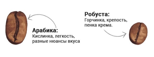 Иллюстрация к книге — Кофейня без франшиз. Руководство по открытию уникальной кофейни [image15_5e56a76ec1beda45ef5df346_jpg.jpg]
