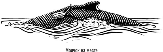 Иллюстрация к книге — Наблюдая за китами [i_004.jpg]