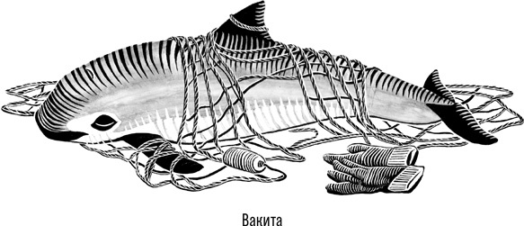 Иллюстрация к книге — Наблюдая за китами [i_023.jpg]