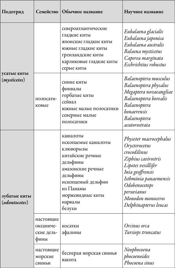 Иллюстрация к книге — Наблюдая за китами [i_027.jpg]