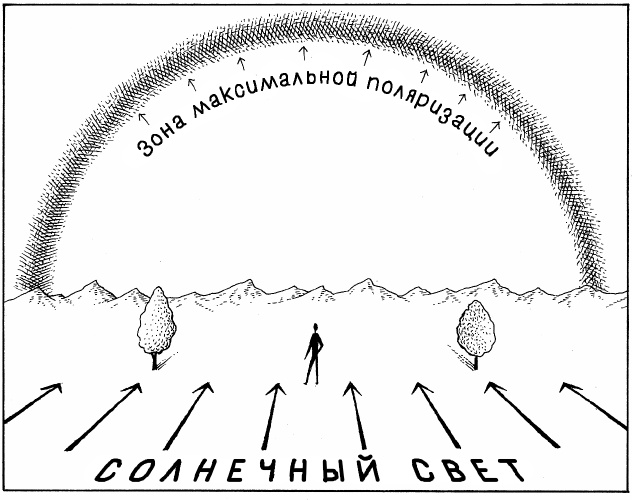 Иллюстрация к книге — Супернавигаторы. О чудесах навигации в животном мире [i_003.jpg]