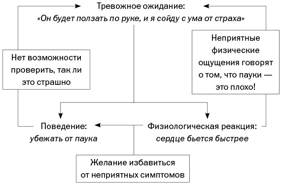 Иллюстрация к книге — Спокойные. Как помочь детям справиться со страхами и тревогой [img_5.jpg]
