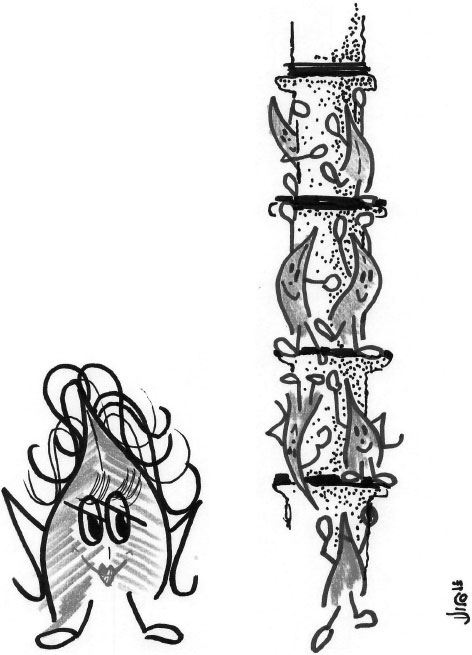 Иллюстрация к книге — Мышцы. Как у вас дела? [i_010.jpg]