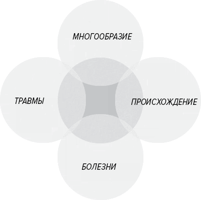 Иллюстрация к книге — Как генерить свежие идеи [i_012.jpg]