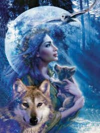 Книга Последний подарок богини Книга Последний подарок богини