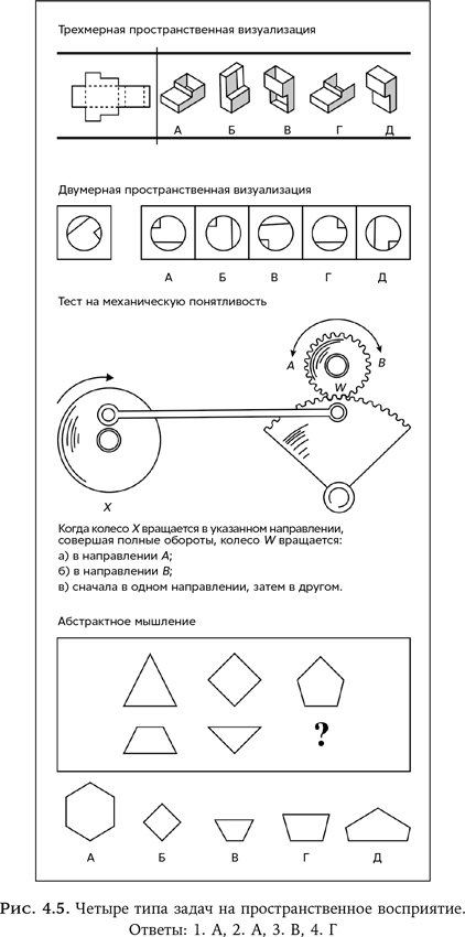Иллюстрация к книге — Ум в движении. Как действие формирует мысль [i_008.jpg]