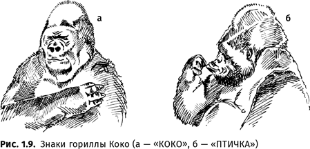 Иллюстрация к книге — Происхождение языка. Факты, исследования, гипотезы [i_014.jpg]
