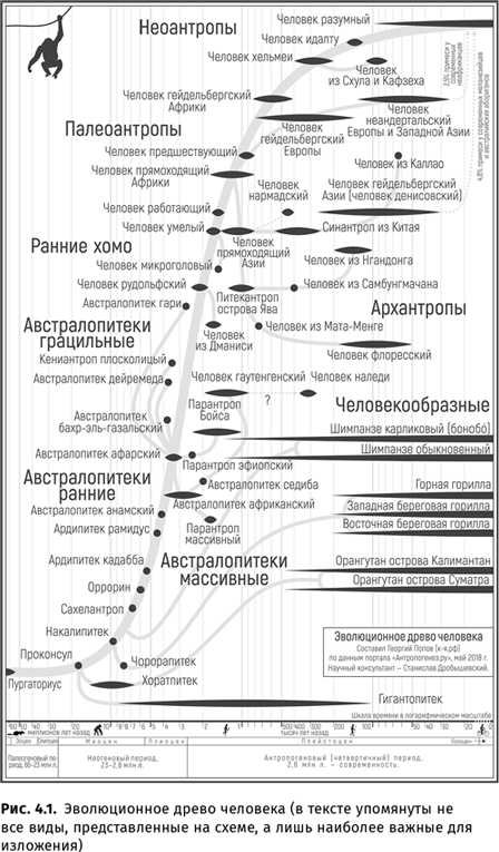 Иллюстрация к книге — Происхождение языка. Факты, исследования, гипотезы [i_046.jpg]