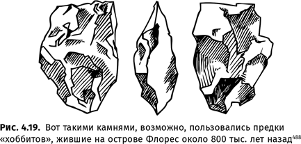 Иллюстрация к книге — Происхождение языка. Факты, исследования, гипотезы [i_055.jpg]