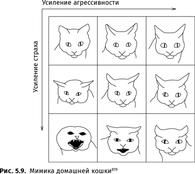 Иллюстрация к книге — Происхождение языка. Факты, исследования, гипотезы [i_083.jpg]