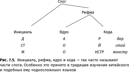 Иллюстрация к книге — Происхождение языка. Факты, исследования, гипотезы [i_109.jpg]