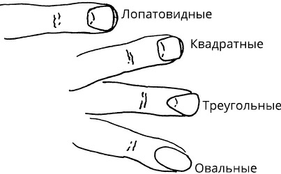 Иллюстрация к книге — Жизнь на ладони. Хиромантия как инструмент самопознания [i_008.jpg]