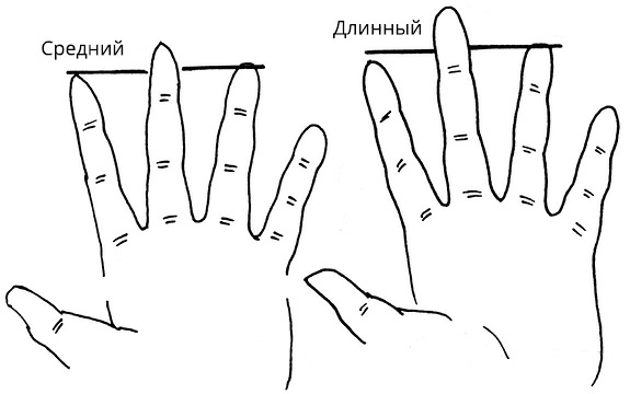 Иллюстрация к книге — Жизнь на ладони. Хиромантия как инструмент самопознания [i_036.jpg]